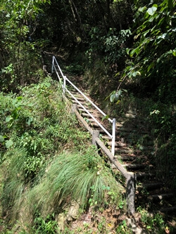 広島県　江田島市　真道山
