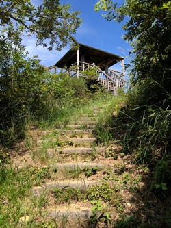 広島県　江田島市　真道山