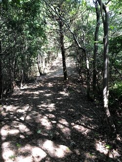 広島県　江田島市　真道山