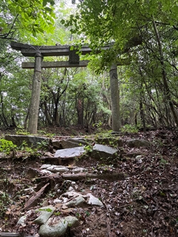 広島県　東広島市　白鳥山