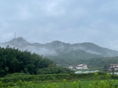広島県　東広島市　白鳥山