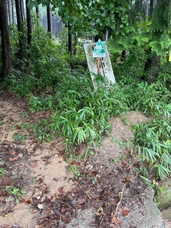 広島県　東広島市　白鳥山