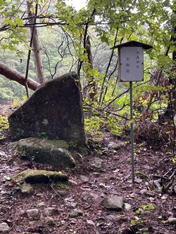 広島県　東広島市　白鳥山