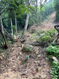 広島県　東広島市　白鳥山