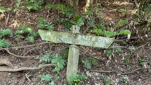 広島県　呉市　休山