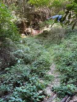 広島県　呉市　休山