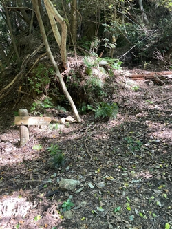 広島県　呉市　休山