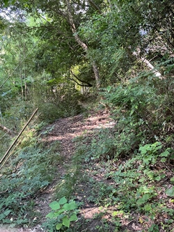 広島県　呉市　休山