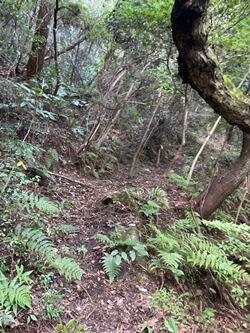 広島県　呉市　休山