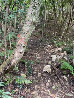 広島県　呉市　休山