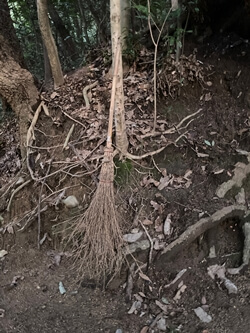 広島県　坂町　頭部みはらし公園