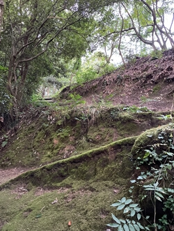 広島県　坂町　頭部みはらし公園