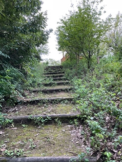 広島県　坂町　頭部みはらし公園