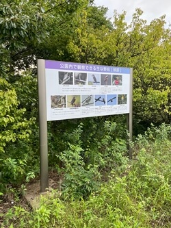 広島県　坂町　頭部みはらし公園