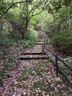広島県　坂町　頭部みはらし公園